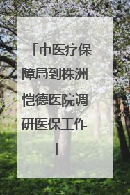 市医疗保障局到株洲恺德医院调研医保工作