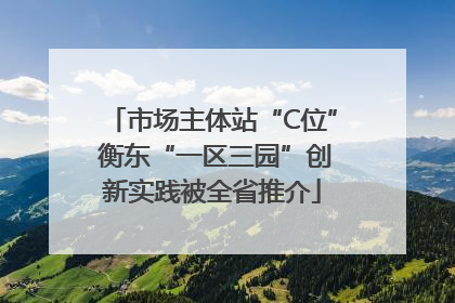 市场主体站“C位” 衡东“一区三园”创新实践被全省推介