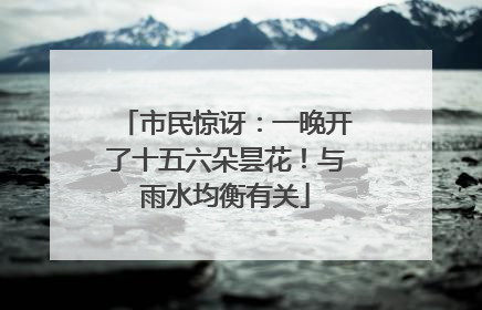 市民惊讶：一晚开了十五六朵昙花！与雨水均衡有关