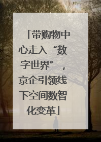 带购物中心走入“数字世界”，京企引领线下空间数智化变革