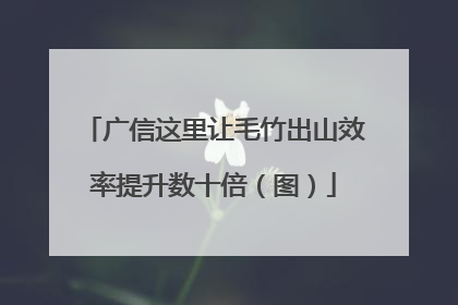 广信这里让毛竹出山效率提升数十倍（图）