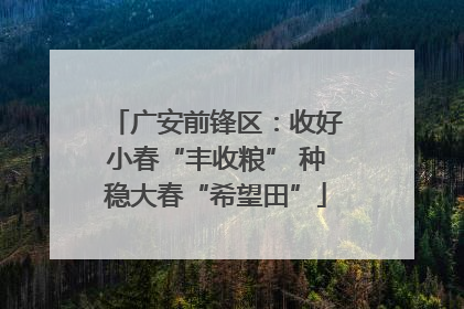 广安前锋区：收好小春“丰收粮” 种稳大春“希望田”