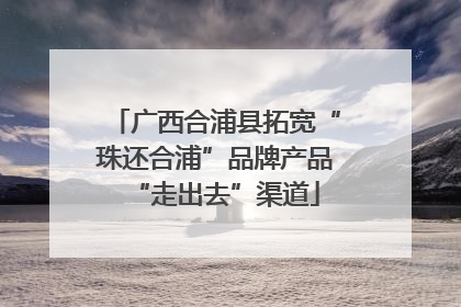 广西合浦县拓宽“珠还合浦”品牌产品“走出去”渠道