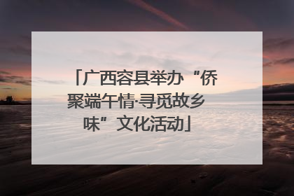 广西容县举办“侨聚端午情·寻觅故乡味”文化活动