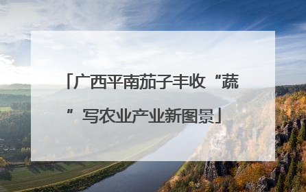 广西平南茄子丰收“蔬”写农业产业新图景