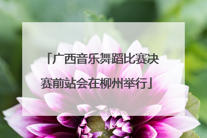 广西音乐舞蹈比赛决赛前站会在柳州举行
