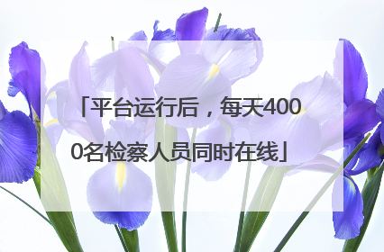 平台运行后，每天4000名检察人员同时在线