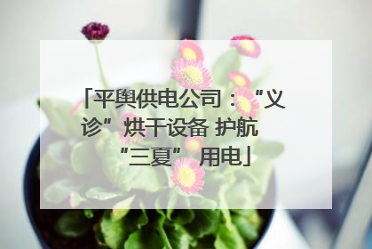 平舆供电公司：“义诊”烘干设备 护航 “三夏” 用电