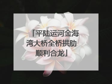 平陆运河金海湾大桥全桥拱肋顺利合龙