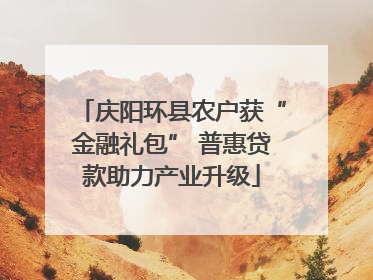 庆阳环县农户获“金融礼包” 普惠贷款助力产业升级