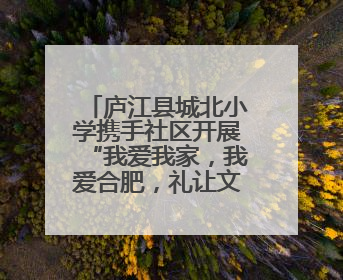 庐江县城北小学携手社区开展“我爱我家，我爱合肥，礼让文明”实践活动