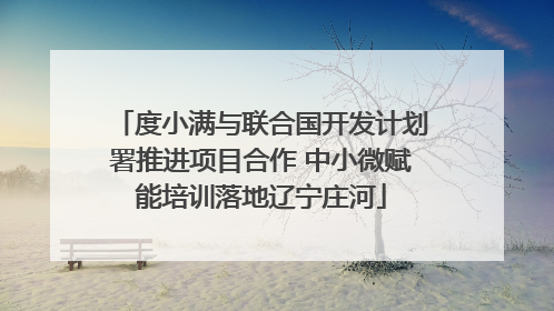 度小满与联合国开发计划署推进项目合作 中小微赋能培训落地辽宁庄河