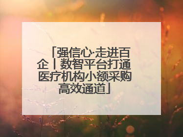强信心·走进百企丨数智平台打通医疗机构小额采购高效通道