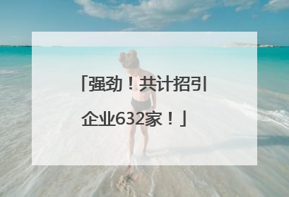 强劲！共计招引企业632家！