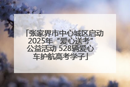 张家界市中心城区启动2025年“爱心送考”公益活动 528辆爱心车护航高考学子