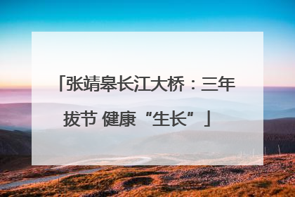 张靖皋长江大桥：三年拔节 健康“生长”