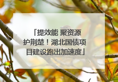 提效能 聚资源 护荆楚！湖北国债项目建设跑出加速度