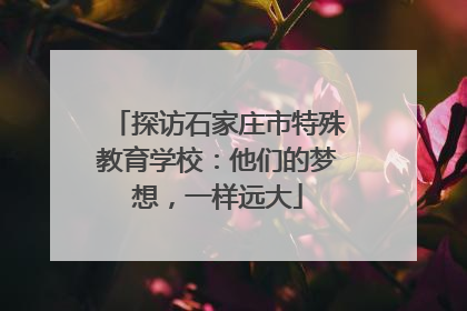 探访石家庄市特殊教育学校：他们的梦想，一样远大