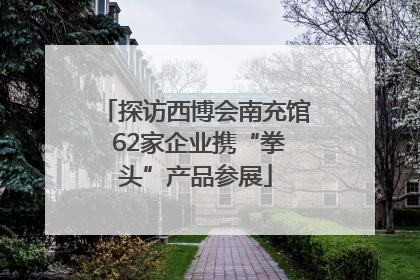 探访西博会南充馆 62家企业携“拳头”产品参展