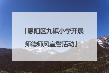 恩阳区九镇小学开展师德师风宣誓活动