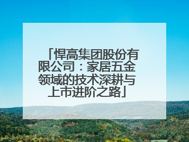 悍高集团股份有限公司：家居五金领域的技术深耕与上市进阶之路
