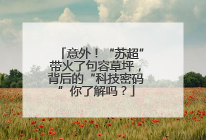 意外！“苏超”带火了句容草坪，背后的“科技密码”你了解吗？