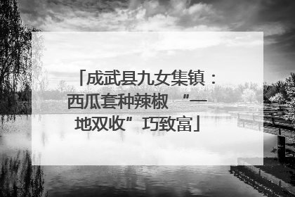 成武县九女集镇：西瓜套种辣椒 “一地双收”巧致富