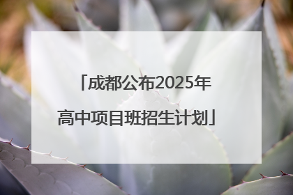 成都公布2025年高中项目班招生计划