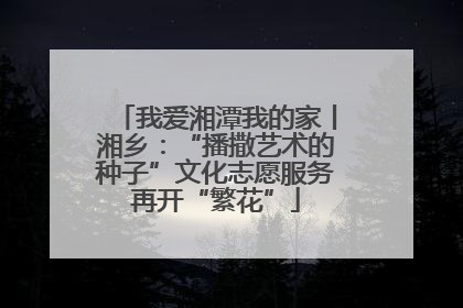 我爱湘潭我的家丨湘乡：“播撒艺术的种子”文化志愿服务再开“繁花”