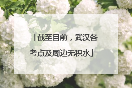 截至目前，武汉各考点及周边无积水