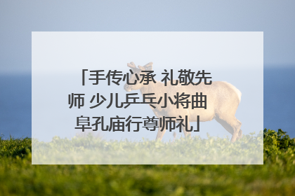手传心承 礼敬先师 少儿乒乓小将曲阜孔庙行尊师礼