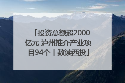 投资总额超2000亿元 泸州推介产业项目94个丨数读西投
