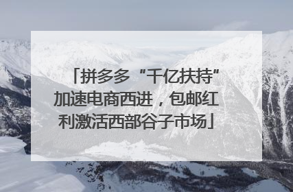 拼多多“千亿扶持”加速电商西进，包邮红利激活西部谷子市场