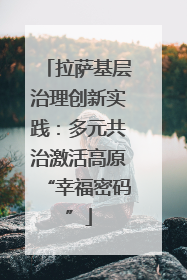 拉萨基层治理创新实践：多元共治激活高原“幸福密码”