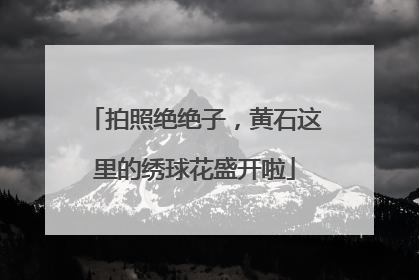 拍照绝绝子，黄石这里的绣球花盛开啦