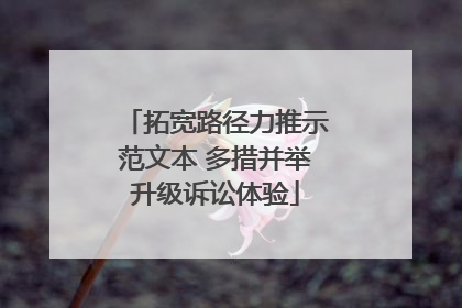 拓宽路径力推示范文本 多措并举升级诉讼体验