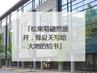 松果菊翩然盛开，像夏天写给大地的情书