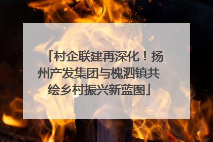 村企联建再深化！扬州产发集团与槐泗镇共绘乡村振兴新蓝图