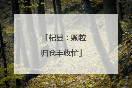 杞县：颗粒归仓丰收忙
