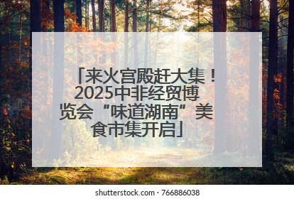 来火宫殿赶大集！2025中非经贸博览会“味道湖南”美食市集开启