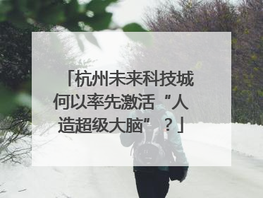 杭州未来科技城何以率先激活“人造超级大脑”？