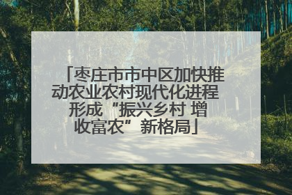 枣庄市市中区加快推动农业农村现代化进程 形成“振兴乡村 增收富农”新格局