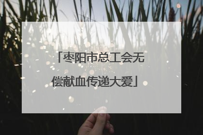 枣阳市总工会无偿献血传递大爱
