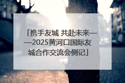 携手友城 共赴未来——2025黄河口国际友城合作交流会侧记