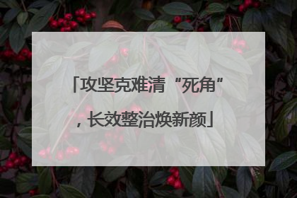 攻坚克难清“死角”，长效整治焕新颜