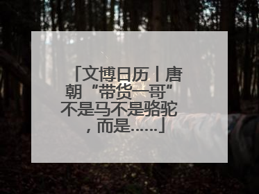 文博日历丨唐朝“带货一哥”不是马不是骆驼，而是……