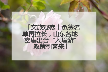 文旅观察丨免签名单再拉长，山东各地密集出台“入境游”政策引客来