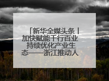 新华全媒头条丨加快赋能千行百业 持续优化产业生态——浙江推动人工智能健康有序发展观察