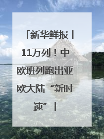 新华鲜报丨11万列！中欧班列跑出亚欧大陆“新时速”