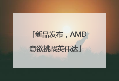 新品发布，AMD意欲挑战英伟达